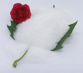 Nooca polyacrylamide ah ayaa wax ku ool ah daaweynta biyaha wasakhda ah ee baabuurta lagu dhaqo?