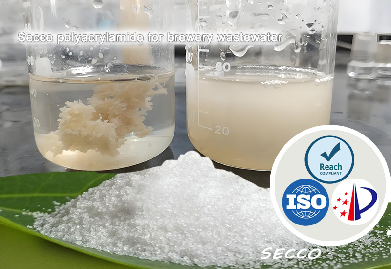 Xulashada iyo Waxtarka Polyacrylamide (PAM) ee daaweynta biyaha wasakhda ah ee warshadaha beer