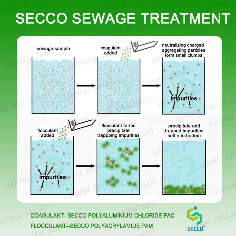 Sidee waa in lagu shaqeeyaa marka loo isticmaalo polyacrylamide iyo polyaluminium chloride si loo daro biyaha wasakhda ah iyo daaweynta sedimentation?